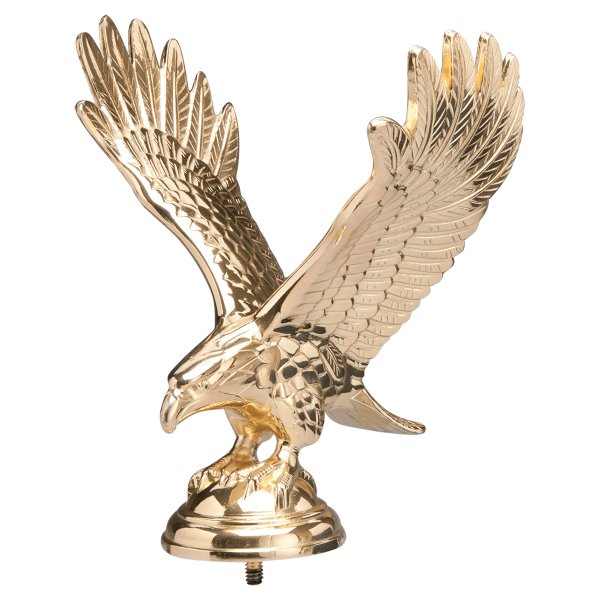 7 1/4" Brass Plated Large Eagle with Stud - Bright Gold