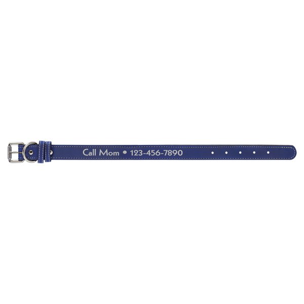 Medium 19" x 1" Blue/Silver Engraved Faux Leather Dog Collar - Blue