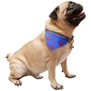 5 3/4" x 4 1/4" Custom Printed Pet Scarf