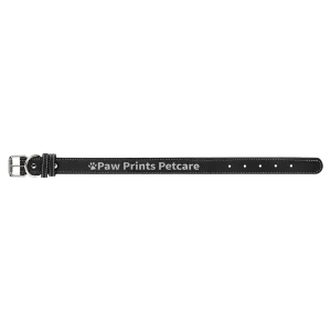 Medium 19" x 1" Black/Silver Engraved Faux Leather Dog Collar