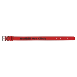Medium 19" x 1" Red Engraved Faux Leather Dog Collar