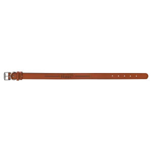 Large 23" x 1" Rawhide Engraved Faux Leather Dog Collar
