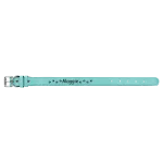 Teal color variant