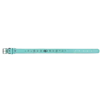 Teal color variant