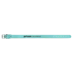 Teal color variant